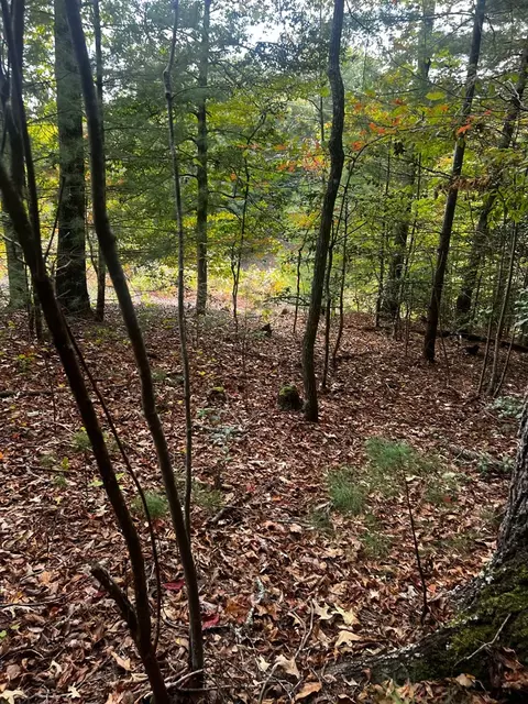 tbd John Taylor Rd, Murphy, NC 28906 photo 5