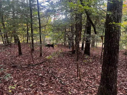 tbd John Taylor Rd, Murphy, NC 28906 photo 9