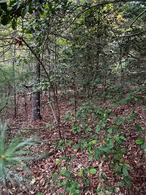 tbd John Taylor Rd, Murphy, NC 28906 photo 6