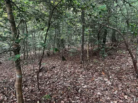 tbd John Taylor Rd, Murphy, NC 28906 photo 7