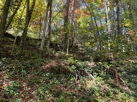 00 Tract B C Us Hwy 441, Sylva, NC 28779