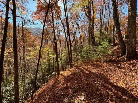 lot33 Coppermine Rdg, Whittier, NC 28789
