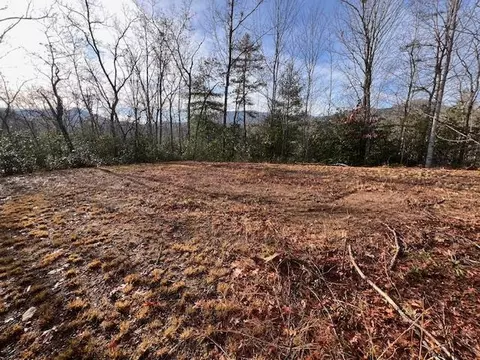 lot Apt 2 Tobacco Branch Rd, Almond, NC 28702