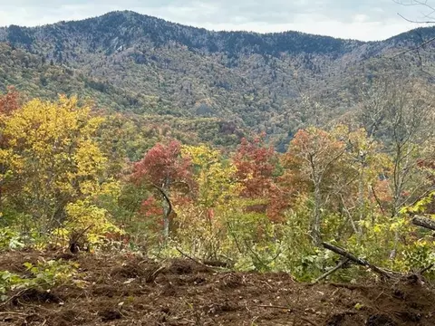 lot19 Catawba Rdg, Maggie Valley, NC 28751