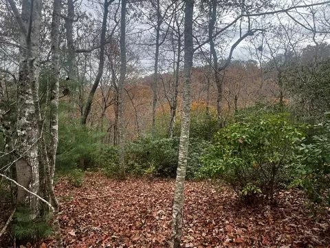 lot19 Deerwood Dr, Franklin, NC 28734