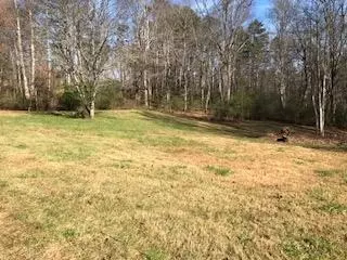 1019 Middle Skeenah Rd, Franklin, NC 28734
