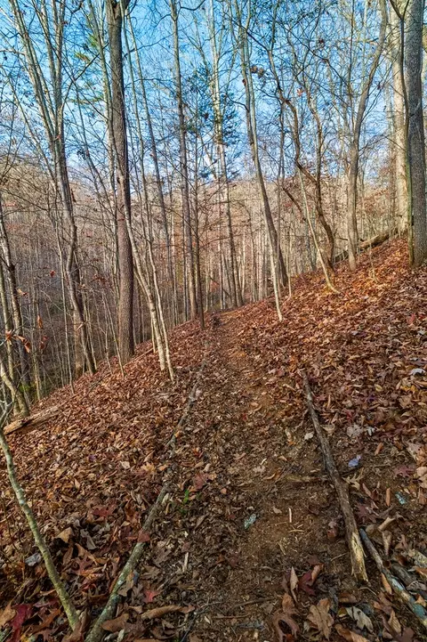 130 Chub, Sylva, NC 28779 photo 29