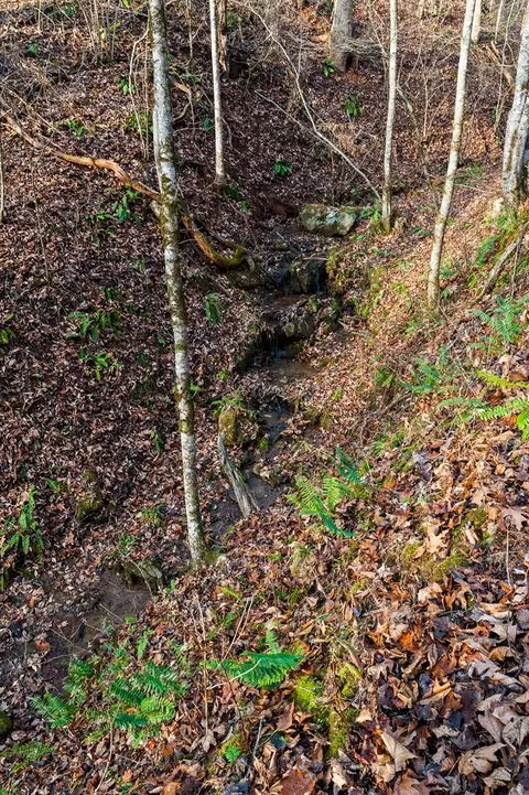 130 Chub, Sylva, NC 28779 photo 31