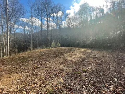 0 Wild Turkey Dr, Sylva, NC 28779 photo 12