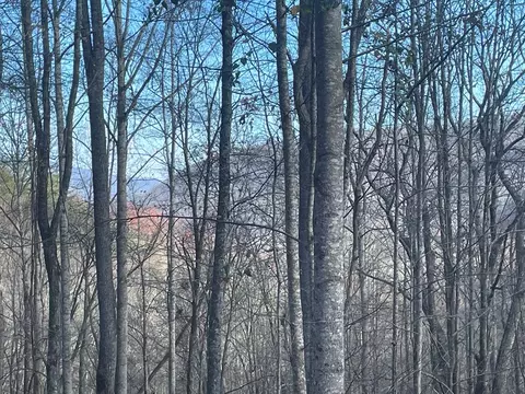 0 Wild Turkey Dr, Sylva, NC 28779 photo 9
