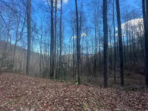 0 Wild Turkey Dr, Sylva, NC 28779 photo 15