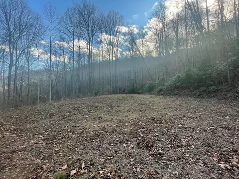 0 Wild Turkey Dr, Sylva, NC 28779 photo 10