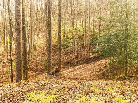 0 Wild Turkey Dr, Sylva, NC 28779 photo 5