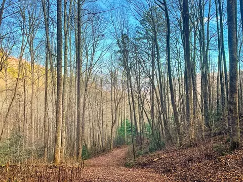0 Wild Turkey Dr, Sylva, NC 28779 photo 18