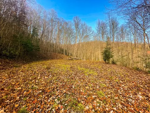 0 Wild Turkey Dr, Sylva, NC 28779 photo 2