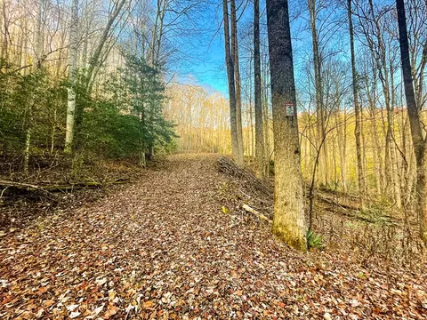 0 Wild Turkey Dr, Sylva, NC 28779 photo 17