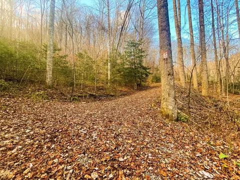 0 Wild Turkey Dr, Sylva, NC 28779 photo 16