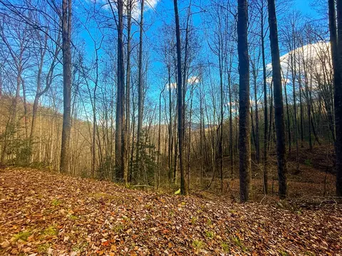 0 Wild Turkey Dr, Sylva, NC 28779 photo 4