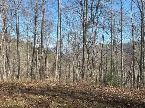 0 Wild Turkey Dr, Sylva, NC 28779 photo 14