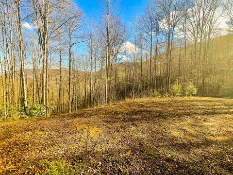 0 Wild Turkey Dr, Sylva, NC 28779 photo 3