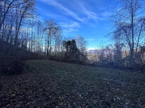 lot10 Sawyer Cove Hideaway, Robbinsville Graham, NC 28771