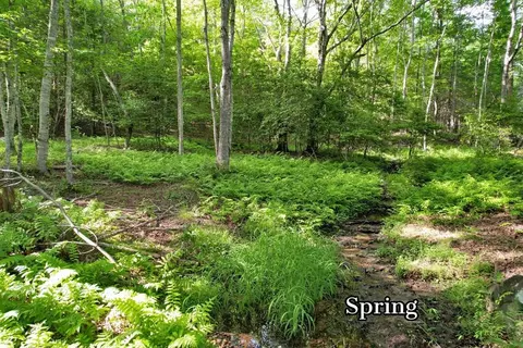 00 Fulcher Rd, Franklin, NC 28734