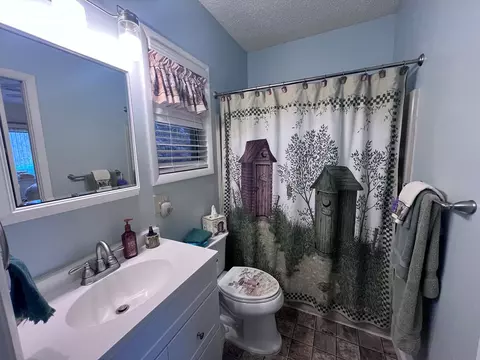 Bath - 98 Pinnacle View Rd, Sylva, NC 28779 photo 3 of 3