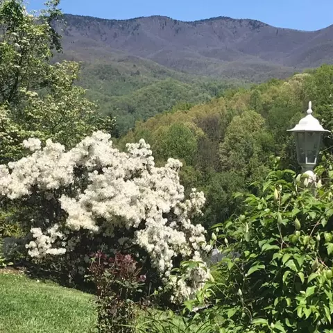 Exterior - 98 Pinnacle View Rd, Sylva, NC 28779 photo 2 of 13