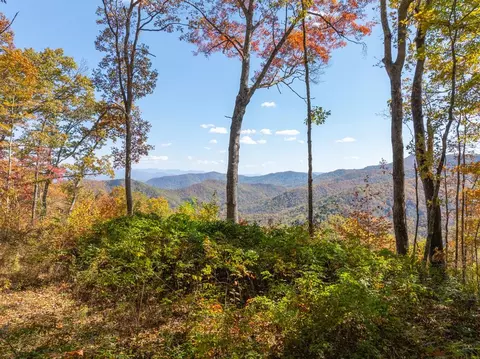 9999 Conleys Creek Rd, Whittier, NC 28713