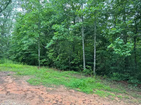 tbd Lower Tuskeegee Rd, Robbinsville Graham, NC 28771