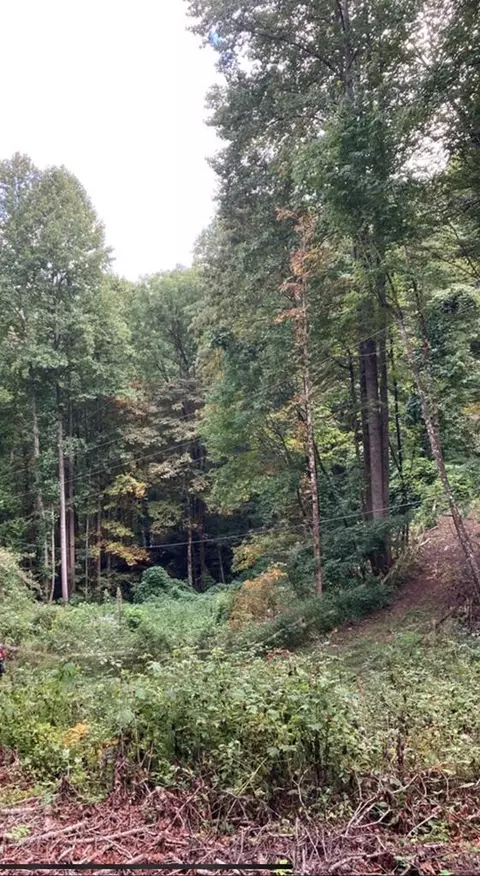 00 Laurel Dr, Whittier, NC 28789