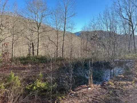 lot27 Long Creek Preserve, Bryson City, NC 28713