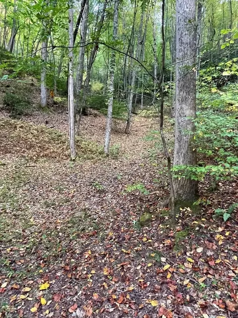 lot17 Bartram Trl Rd, Franklin, NC 28734 photo 4