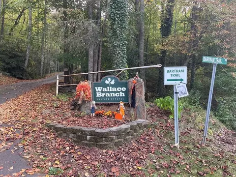 lot17 Bartram Trl Rd, Franklin, NC 28734 photo 2