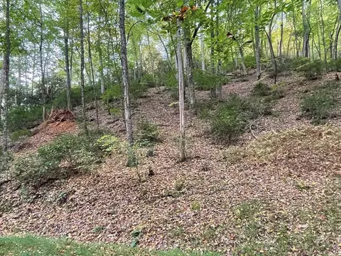lot17 Bartram Trl Rd, Franklin, NC 28734 photo 3