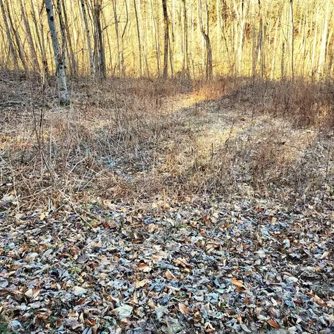 00 River Rd, Franklin, NC 28734