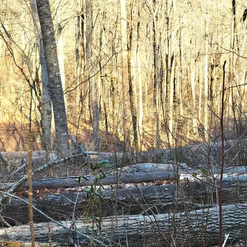 00 River Rd, Franklin, NC 28734 photo 9