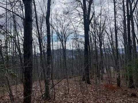 00 Winding Way Dr, Franklin, NC 28734