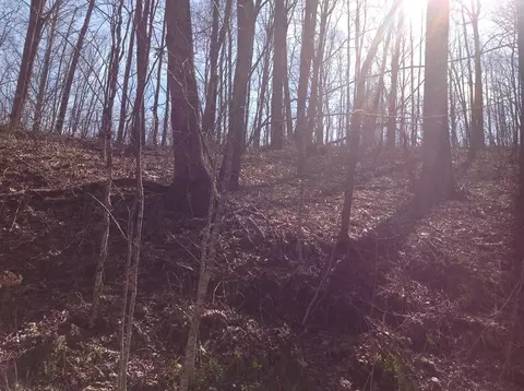 55 Old Logging Trail, Sylva, NC 28779 photo 4