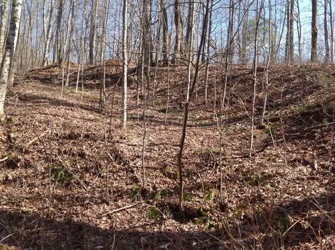 55 Old Logging Trail, Sylva, NC 28779 photo 3