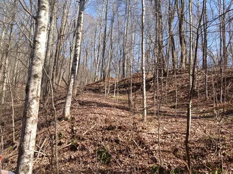 55 Old Logging Trail, Sylva, NC 28779 photo 5