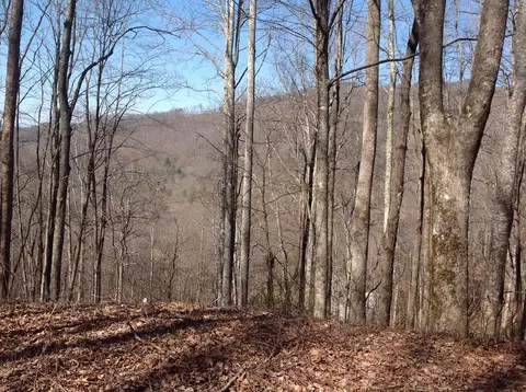 55 Old Logging Trail, Sylva, NC 28779 photo 6