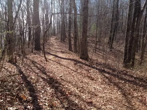 55 Old Logging Trail, Sylva, NC 28779 photo 7