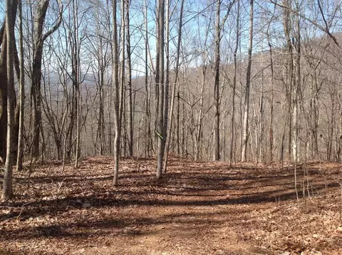 55 Old Logging Trail, Sylva, NC 28779 photo 2