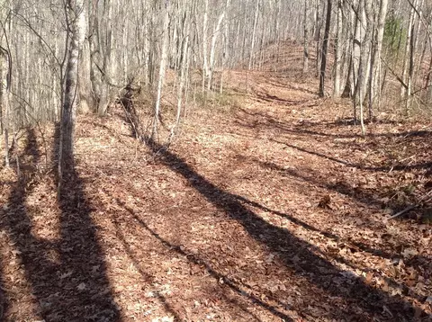 55 Old Logging Trail, Sylva, NC 28779 photo 8