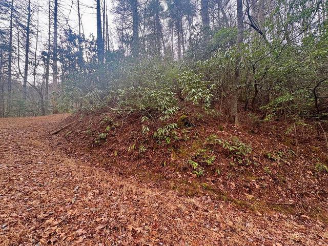 lot7 Ab Indian Rock Ln, Bryson City, NC 28713