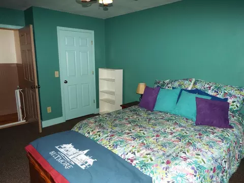 83 Younge Ln, Dillsboro, NC 28725 photo 22