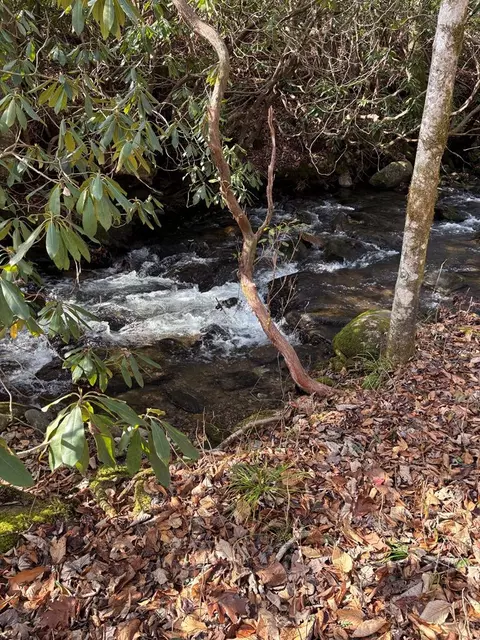 Undisclosed, Otto, NC 28763