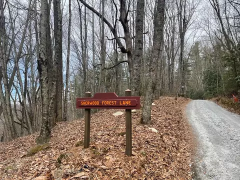 1314 Sherwood Forest Ln, Cashiers, NC 28717