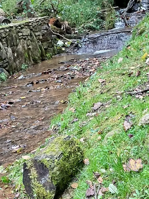 Other - 148 Soap Stick Dr, Sylva, NC 28779 photo 1 of 6